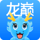 龙巅下载