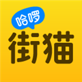 哈啰街猫最新版windows客户端