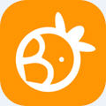 萝卜密聊app手机版下载经典版2025