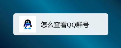 QQ群号在哪查看