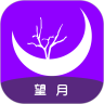 望月聊天交友网站下载大全