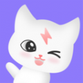 闪约猫网页登录入