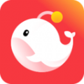 灯遇交友2018老版本下载