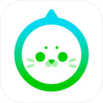 爱奇艺泡泡圈网页版官网登录