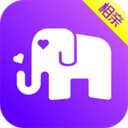 小对象相亲app下载安装