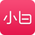 小白交友下载和安装