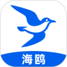 海鸥聊天话术游客免登录