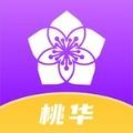 桃华电脑版官方下载