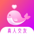 聊会下载安装2025安卓版下载