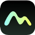 忆沫语音网页版登录