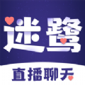迷鹭HD版本