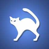 飞猫云2022下载旧版