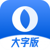 浏览器大字版正版下载