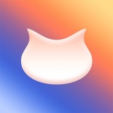 飞猫盘个人版登录
