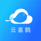 云喜鹊手机网页版