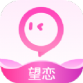 望恋电脑版网页