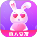 碰巧下载安卓版