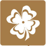 老人拨号王app下载安装