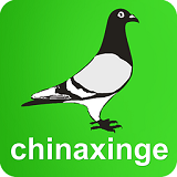 中国信鸽信息网官方网站